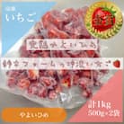 栃木県茂木町産　冷凍いちご　完熟やよいひめ　500g×2