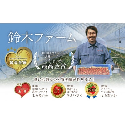 【金賞受賞】鈴木ファームの★完熟★朝摘み★やよいひめ　4パック入り