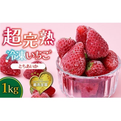 栃木県茂木町産　冷凍いちご　＼鮮度そのまま/完熟とちあいか　500g×2