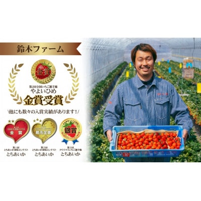 栃木県茂木町産　冷凍いちご　＼鮮度そのまま/完熟とちあいか　500g×2