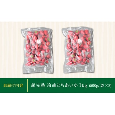 栃木県茂木町産　冷凍いちご　＼鮮度そのまま/完熟とちあいか　500g×2