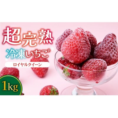 栃木県茂木町産　冷凍いちご　＼鮮度そのまま・幻のいちご/完熟ロイヤルクイーン　500g×2
