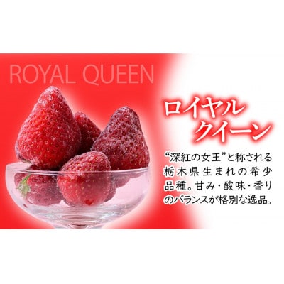 栃木県茂木町産　冷凍いちご　＼鮮度そのまま・幻のいちご/完熟ロイヤルクイーン　500g×2
