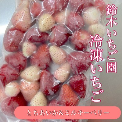 栃木県茂木町産　紅白冷凍いちご　完熟　とちあいか&ミルキーベリー　1kg(500g×2袋)