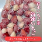 栃木県茂木町産　紅白冷凍いちご　完熟　とちおとめ&ミルキーベリー　1kg(500g×2袋)