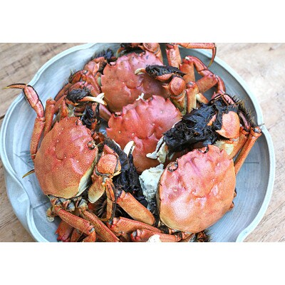 栃木県茂木町 北関東の清流「那珂川産 モクズガニ」(冷凍:13匹 1.5kg)