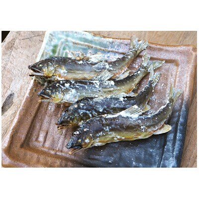 栃木県茂木町 北関東の清流「那珂川産 天然鮎」9尾(計420g)【真空冷凍】