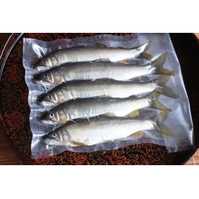 栃木県茂木町 北関東の清流「那珂川産 天然鮎」8尾(計500g)【真空冷凍】