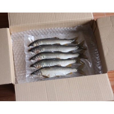栃木県茂木町 北関東の清流「那珂川産 天然鮎」8尾(計500g)【真空冷凍】
