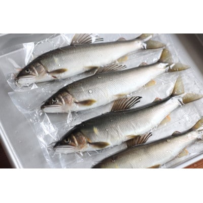 栃木県茂木町 北関東の清流「那珂川産 天然鮎」8～9尾(計500g)【冷凍】