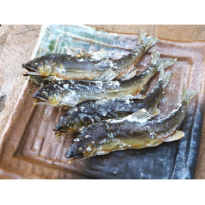 栃木県茂木町 北関東の清流「那珂川産 天然鮎」8～9尾(計500g)【冷凍】