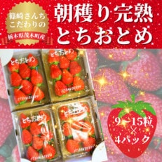 【1月中旬より順次発送】篠崎さんちのいちご もてぎの完熟とちおとめ(9～15粒&times;4パック)