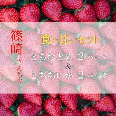 【1月から順次発送】篠崎さんちのとちおとめ&とちあいか食べ比べセット(レギュラー4パック)