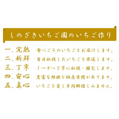 【1月から順次発送】篠崎さんちのとちおとめ&とちあいか食べ比べセット(デラックス4パック)