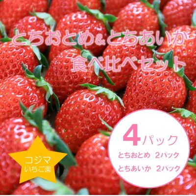 【1月から順次発送】小島さんちの完熟とちおとめ&とちあいか 食べ比べセット 4パック入り