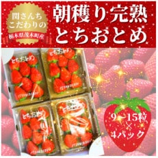 【1月から順次発送】関さんちのこだわりいちご 朝穫り完熟とちおとめ(9～15粒&times;4パック)