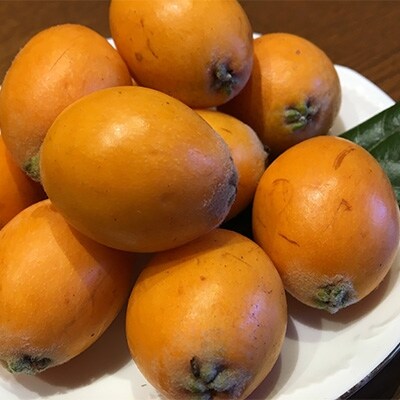 無添加 無香料のプリン びわのフルーツゼリー12個セット お礼品詳細 ふるさと納税なら さとふる 無添加 無香料のプリン びわのフルーツゼリー12個セット お礼品詳細 ふるさと納税なら さとふる