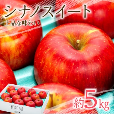 2025年!信州のりんご【シナノスイート】約5kg