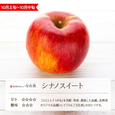 2025年!信州のりんご【シナノスイート】約5kg