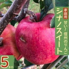2023年!訳あり!シナノスイート甘い!信州のりんご　5キロセット