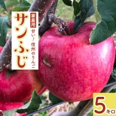 【2023年11月中旬より順次発送】家庭用!りんご「サンふじ」　5キロ信州産