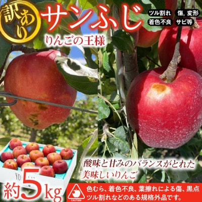 2025年!信州のりんご【サンふじ】訳あり　約5kg　家庭用