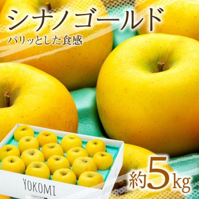 2025年!信州のりんご【シナノゴールド】　約5kg