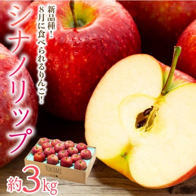 2025年夏!りんご新品種【シナノリップ】約3kg　酸味と甘みのバランス抜群