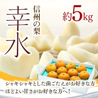 2025年秋順次発送!信州の梨【幸水】約5kg　シャリッとしてみずみずしい梨　