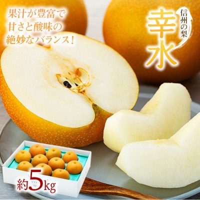 2025年秋順次発送!信州の梨【幸水】約5kg　シャリッとしてみずみずしい梨　