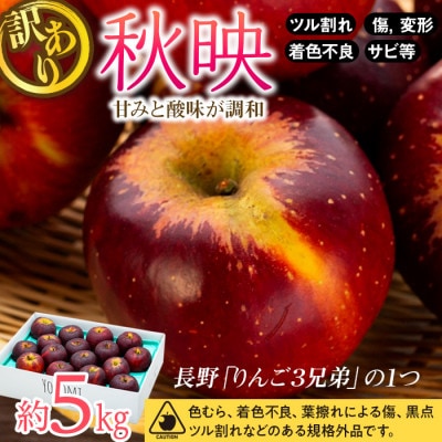 2025年!信州のりんご【秋映】訳あり　約5kg　家庭用