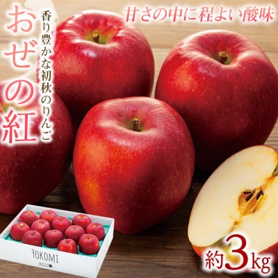 2025年!信州のりんご【おぜの紅】約3kg
