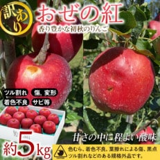 2024年秋発送!信州のりんご【おぜの紅】訳あり 約5kg