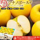 2025年!信州のりんご【シナノゴールド】訳あり　約5kg　家庭用