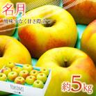 2025年!信州のりんご【名月】　約5kg