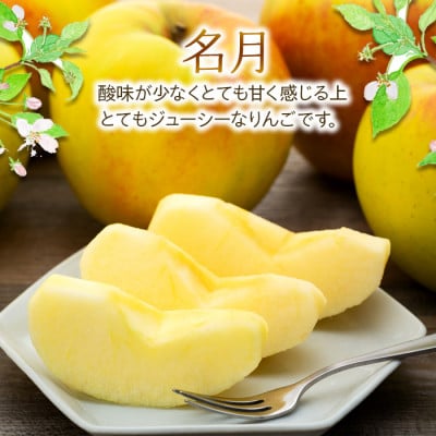 2025年!信州のりんご【名月】　約5kg