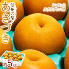 2025年秋順次発送!信州の梨【あきづき約5kg】　シャリッとしてみずみずしい梨　