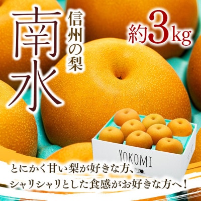 2025年秋!信州の梨【南水】約3kg　信州が生んだ甘い梨!