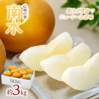 2025年秋!信州の梨【南水】約3kg　信州が生んだ甘い梨!