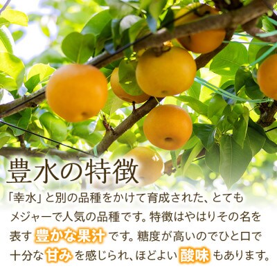 【2024年秋発送】信州の梨(豊水) 約3kg 果汁たっぷりジューシーな梨!