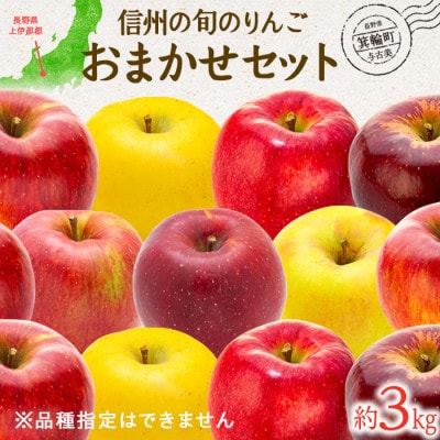 【2025年】信州のりんご　品種おまかせ　約3kg