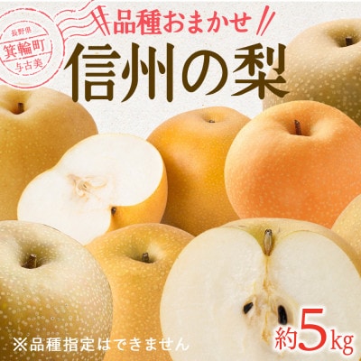 【2025年】信州の梨　おまかせ　約5kgセット