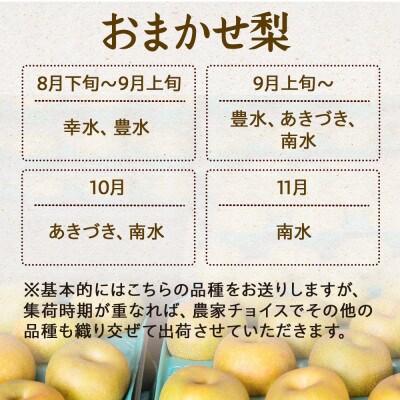 【2025年】信州の梨　おまかせ　約5kgセット