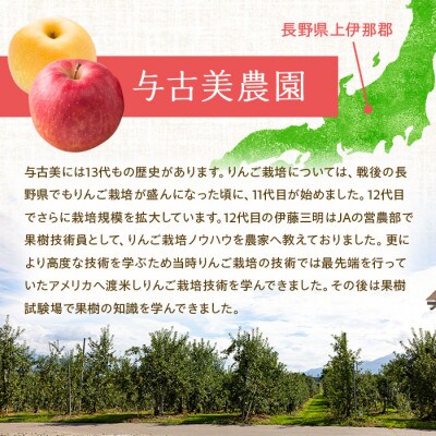 【2025年】信州の梨　おまかせ　約5kgセット