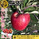 2025年【傷等訳あり】甘い!希少!りんご【あいかの香り】約3kg　信州のりんご