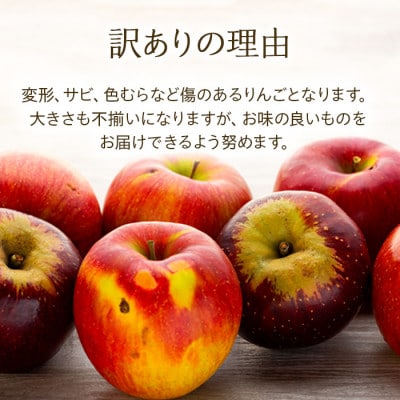 2025年【傷等訳あり】甘い!希少!りんご【あいかの香り】約3kg　信州のりんご