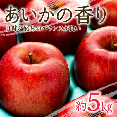 2026年!甘い!幻のりんご【あいかの香り】約5kg　信州のりんご