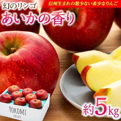 2026年!甘い!幻のりんご【あいかの香り】約5kg　信州のりんご