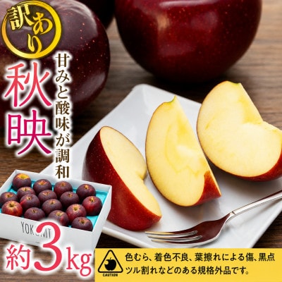 2026年!信州のりんご【秋映】訳あり　約3kg　家庭用