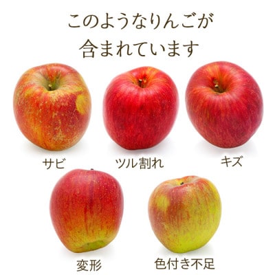 2026年!信州のりんご【秋映】訳あり　約3kg　家庭用